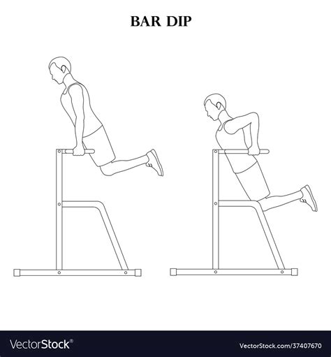 Bar dip exercise strength workout Royalty Free Vector Image