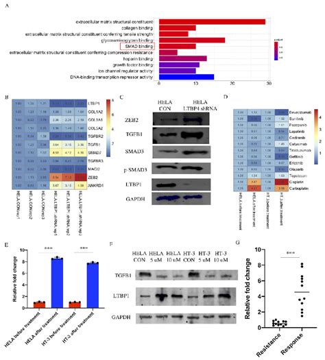 Identification Of Pathway And Drugs Related With Ltbp A Top Ten