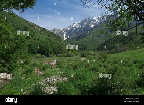 Kasachstan aksu jabagly Fotos und Bildmaterial in hoher Auflösung Alamy