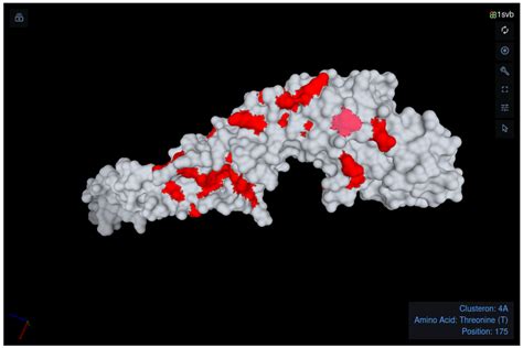 Visualization Of The Clusteron Specific Amino Acid Signature On The