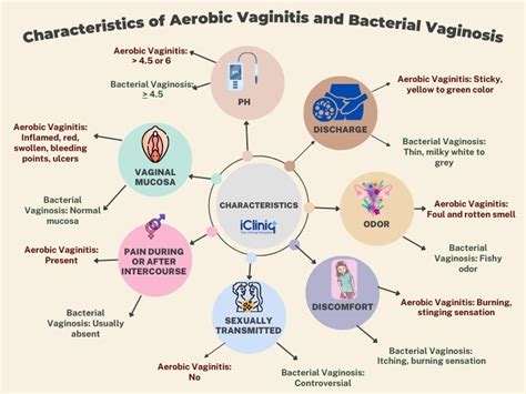 Sexually Transmitted Infections Vaginitis And Cervicitis Off