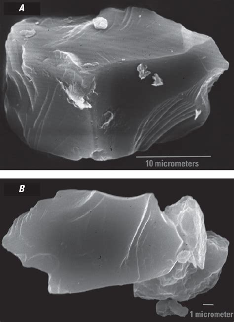 Scanning Electron Microscope Images Of Sand And Silt From The Early