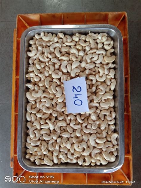 Griffin 240 Grade Steamed Cashew Nuts At Rs 660 Kg Erode ID