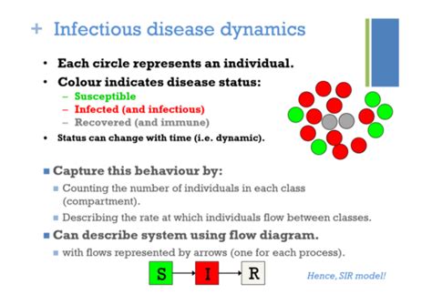 Mathematical Modelling Flashcards Quizlet