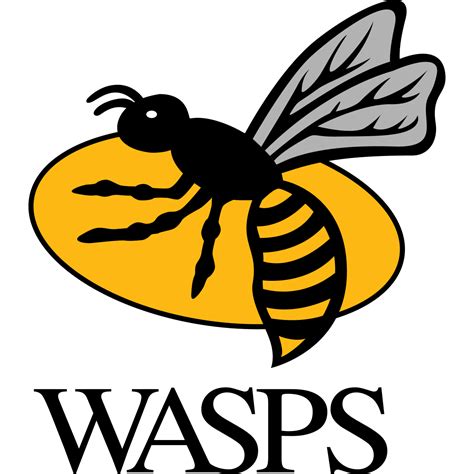 Wasps RFC - Wikipedia