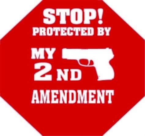 Stop Protected By My 2nd Amendment Sticker