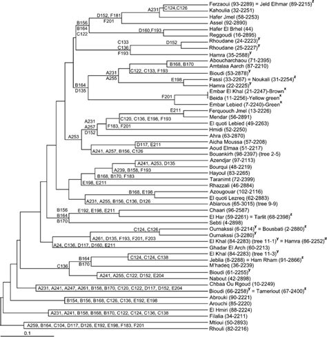 Simple Sequence Repeat Ssr Identification Key Based On 52 Fig Download Scientific Diagram