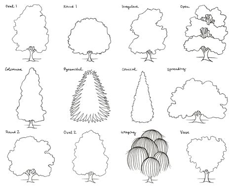 How To Draw A Tree Step By Step