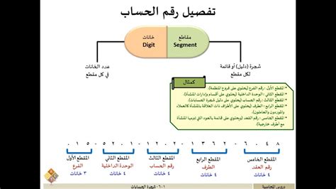 601 شجرة الحسابات Youtube