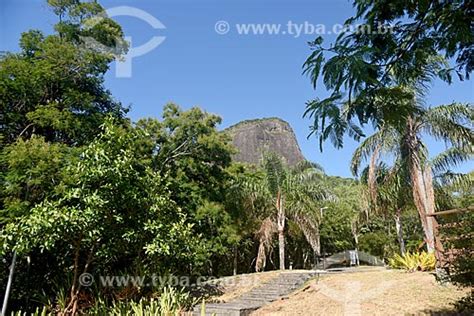 Tyba Online Assunto Vista Do Morro Dois Irmãos A Partir Do Parque