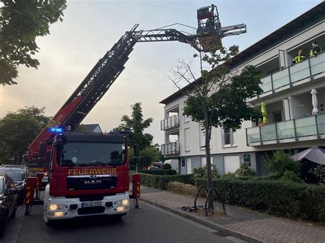 Juni Einsatz Hilfeleistung Feuerwehr Br Hl