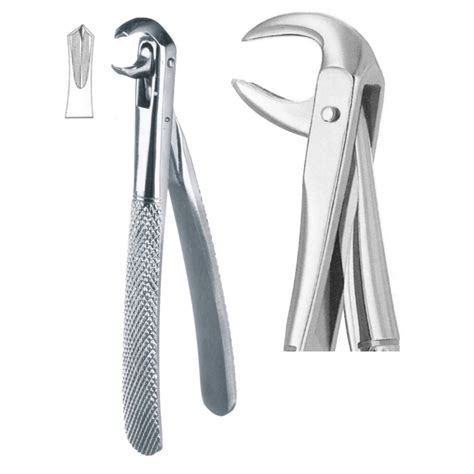 Extraction Forceps Upper Incisors And Canines Fig Well Grow