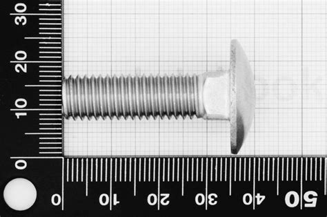 M X Carriage Bolt Din Stainless Steel Aisi Marine Grade