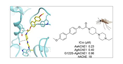 Noncovalent Inhibitors Of Mosquito Acetylcholinesterase With