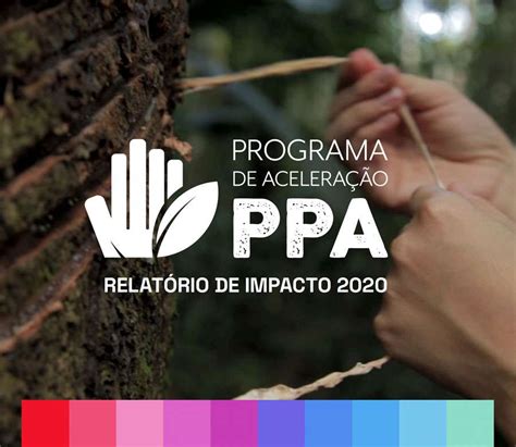 Relat Rio De Impacto Do Programa De Acelera O Da Ppa Amaz