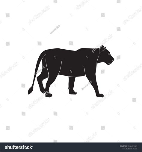 Female Lion Silhouette Background Vector Illustration Stock Vector ...