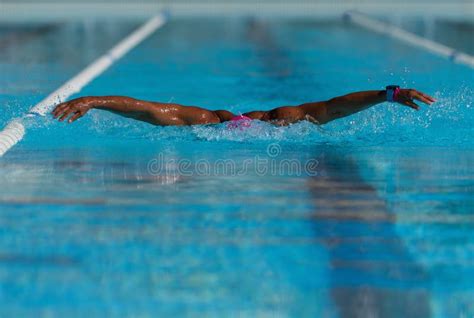 Swim Competition Swimmer Athlete Doing Crawl Stroke Stock Image Image