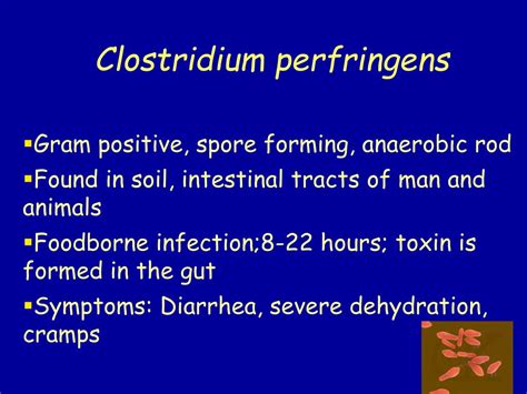 Ppt Bacterial Pathogens Powerpoint Presentation Free Download Id3678317