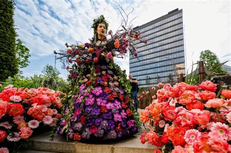 Florall Festivalul Artei Florale Aduce In Iulius Town Timisoara Un