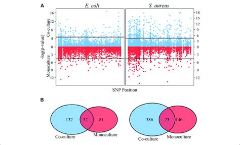 Identification Of Significant Qtls And Comparative Analysis For E