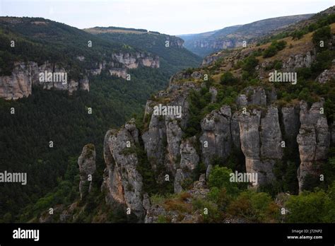 France Ravine Canyon Lime Scenery Countryside Nature France Ravine