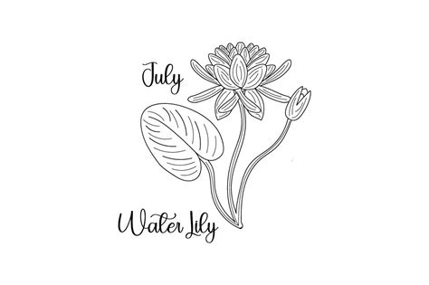 Birth Month Flowers July Water Lily Line Art Embroidery SVG Cut