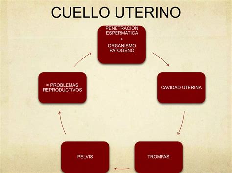 Infertilidad Y Esterilidad PPT