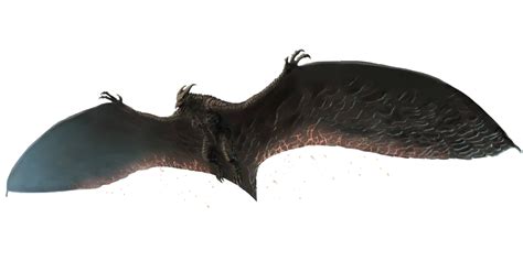 Rodan Transparent 9 By Mainmonsterman On Deviantart