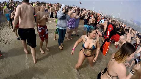 2017 Polar Bear Plunge Youtube