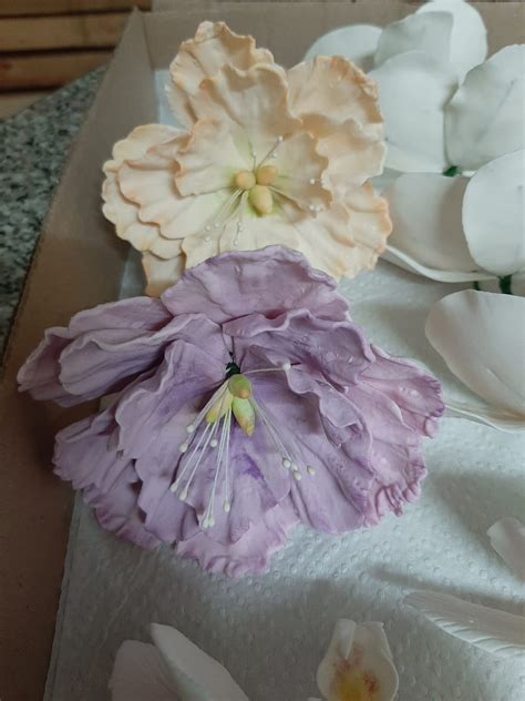 Sugar Paste Flowers Course At Michael Reiley Blog