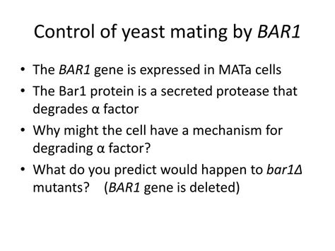 PPT - Introduction to yeast genetics PowerPoint Presentation, free ...