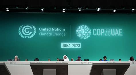 Pakistan Assists Shape Worldwide Climate With Actioning At Cop