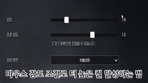 곰탱이 뉴비를 위한 팁 두번째 마우스 감도 아이언사이트ironsight YouTube