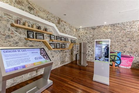 Museo Del Café Cordoba Lo Que Se Debe Saber Antes De Viajar