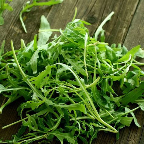 Arugula Seeds Wild Rocket Packet Vegetable Seeds Heirloom Seed