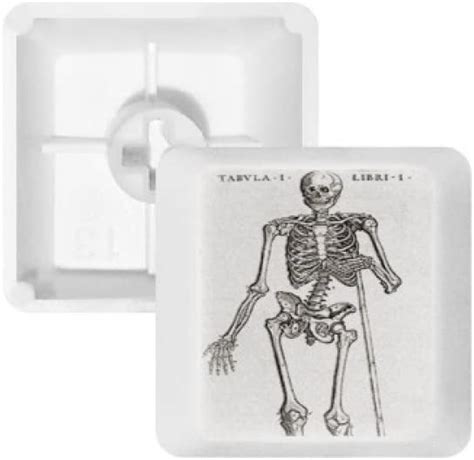 Amazon DIYthinker Decoration Human Skeleton Body Pattern Keycap