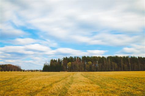 Gratis Afbeeldingen Landschap Boom Natuur Horizon Wolk Fabriek