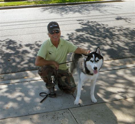 Have Leash Will Train Approach For Dog And Puppy Training Have Leash