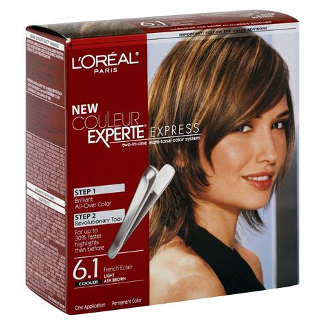 L Oreal Paris Couleur Experte All Over Color And Highlights Colored