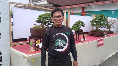 Kontes Pameran Bonsai Nasional Ppbi Hallo Nusantara