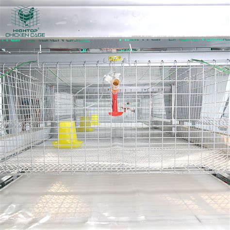 Fully Automatic H Type Hot Galvanized Battery Broiler Chicken Cage For