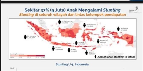 Menelisik Stunting Di Indonesia Perlunya Peran Aktif Semua Pihak