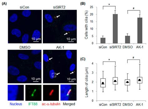 IJMS | March-2 2020 - Browse Articles 
