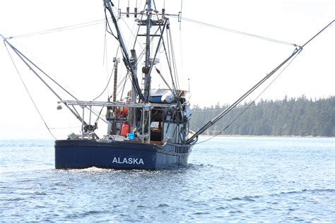 Resources — Alaska Fishermens Network