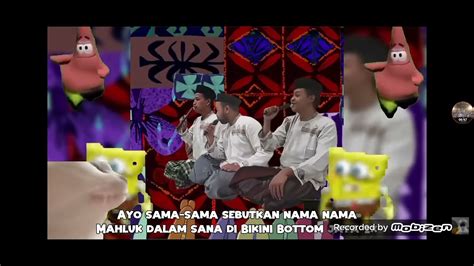 Majelis Bikini Bottom BIKINI TUBE