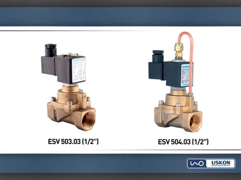 Duravis Esv Compressor Solenoid Valves