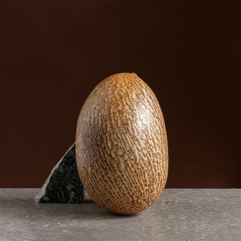 Pale Blonde Coco De Mer Nut Lassco England S Prime Resource For Architectural Antiques