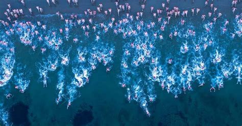 Record Field For Nippy Nude Winter Solstice Swim The Canberra Times Canberra Act