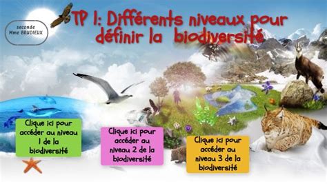 Les Différents Niveaux De La Biodiversité