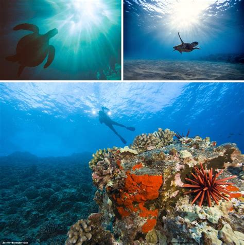 Maui Scuba Diving - Lessons, Guided Tours, Scooters, Private Shipwreck